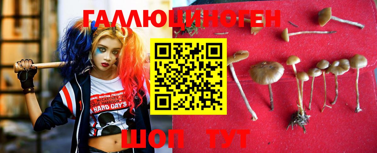 Гашиш Ржев